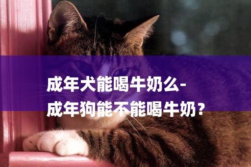 成年犬能喝牛奶么-
成年狗能不能喝牛奶？