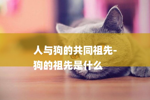 人與狗的共同祖先-
狗的祖先是什么