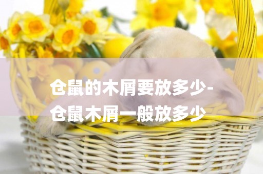 倉鼠的木屑要放多少-
倉鼠木屑一般放多少
