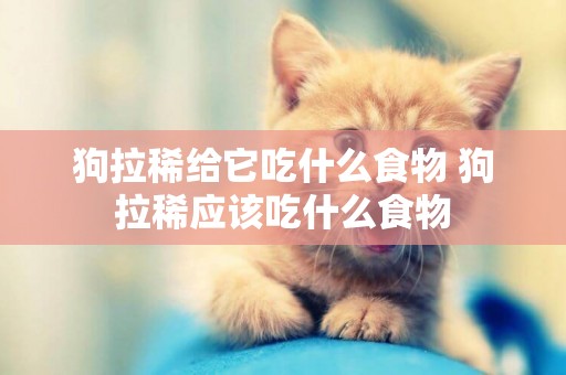 狗拉稀給它吃什么食物 狗拉稀應該吃什么食物