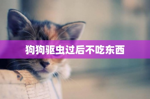 狗狗驅蟲過后不吃東西