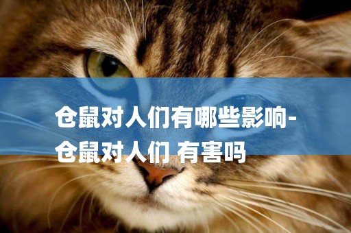 倉鼠對人們有哪些影響-
倉鼠對人們 有害嗎