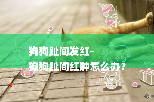 狗狗趾間發紅-
狗狗趾間紅腫怎么辦？