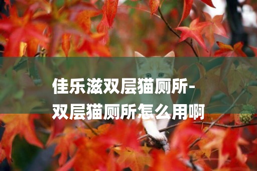 佳樂滋雙層貓廁所-
雙層貓廁所怎么用啊