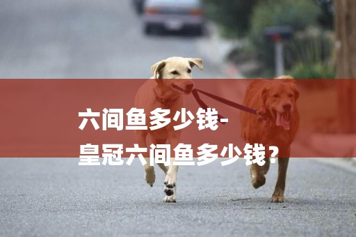 六間魚多少錢-
皇冠六間魚多少錢？