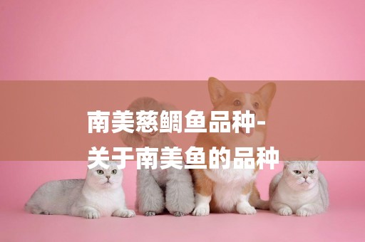 南美慈鯛魚品種-
關于南美魚的品種