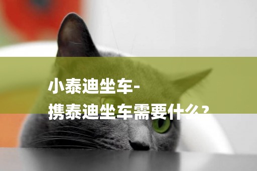小泰迪坐車-
攜泰迪坐車需要什么?