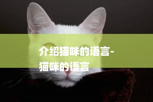介紹貓咪的語言-
貓咪的語言