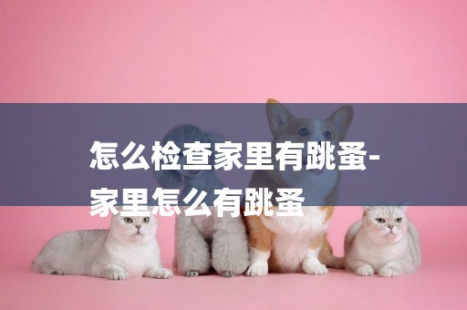 怎么檢查家里有跳蚤-
家里怎么有跳蚤