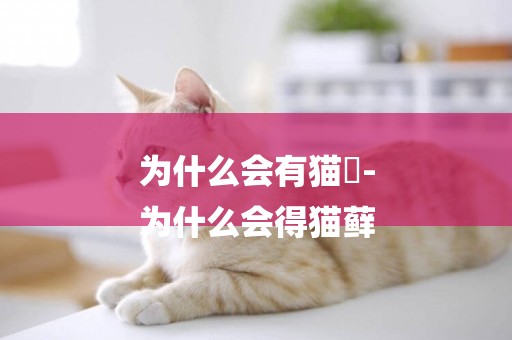 為什么會有貓廯-
為什么會得貓蘚