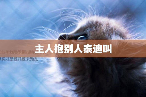 主人抱別人泰迪叫