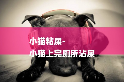小貓粘屎-
小貓上完廁所沾屎