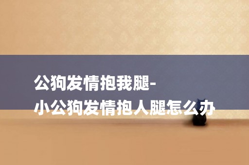 公狗發情抱我腿-
小公狗發情抱人腿怎么辦