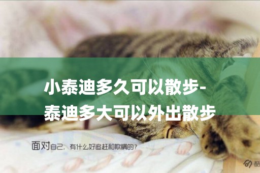 小泰迪多久可以散步-
泰迪多大可以外出散步