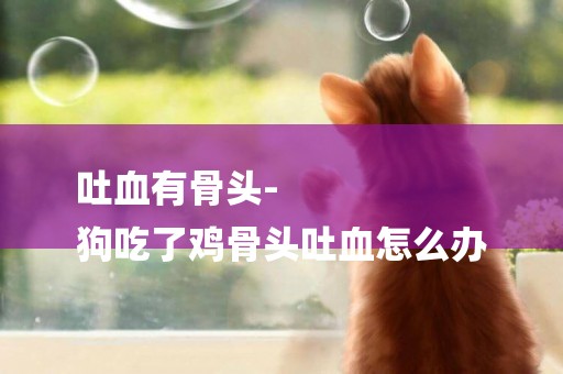 吐血有骨頭-
狗吃了雞骨頭吐血怎么辦