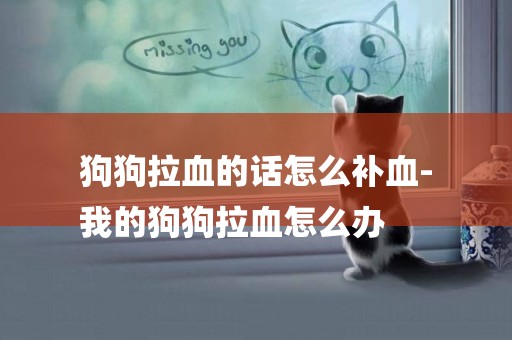 狗狗拉血的話怎么補血-
我的狗狗拉血怎么辦