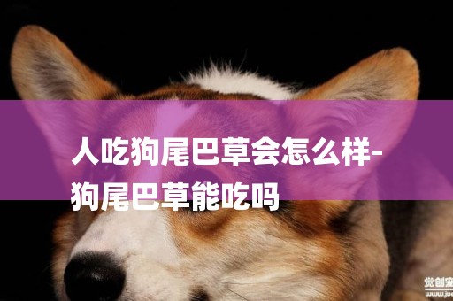 人吃狗尾巴草會怎么樣-
狗尾巴草能吃嗎