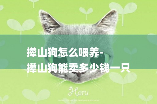 攆山狗怎么喂養-
攆山狗能賣多少錢一只