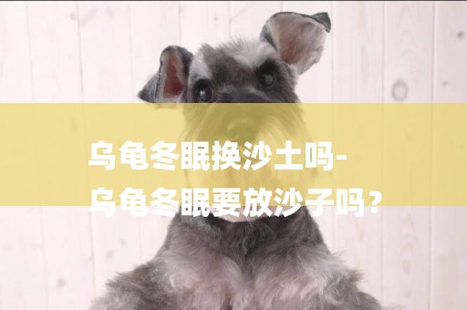 烏龜冬眠換沙土嗎-
烏龜冬眠要放沙子嗎？