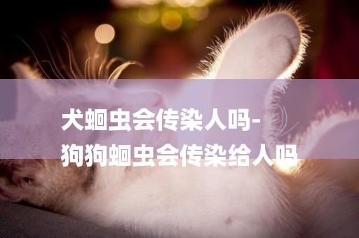 犬蛔蟲會傳染人嗎-
狗狗蛔蟲會傳染給人嗎