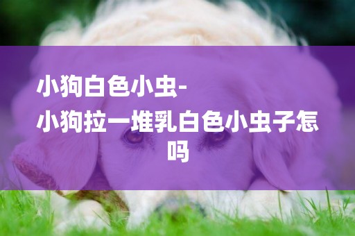 小狗白色小蟲-
小狗拉一堆乳白色小蟲子怎嗎