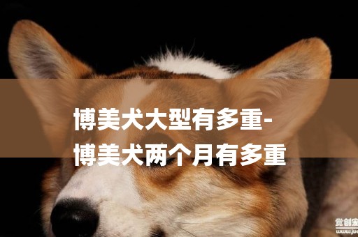 博美犬大型有多重-
博美犬兩個月有多重