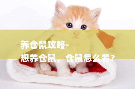 養倉鼠攻略-
想養倉鼠，倉鼠怎么養？