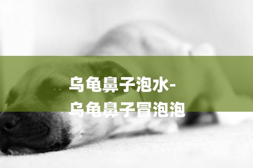 烏龜鼻子泡水-
烏龜鼻子冒泡泡