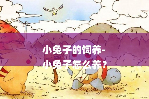 小兔子的飼養-
小兔子怎么養？