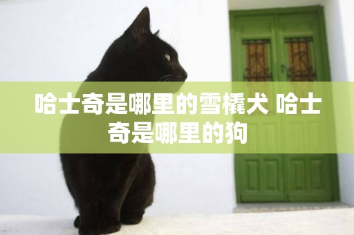 哈士奇是哪里的雪橇犬 哈士奇是哪里的狗