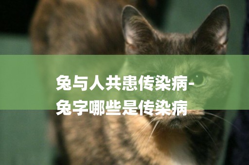 兔與人共患傳染病-
兔字哪些是傳染病