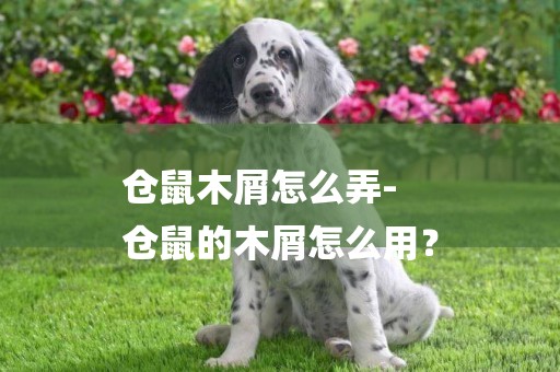 倉鼠木屑怎么弄-
倉鼠的木屑怎么用？