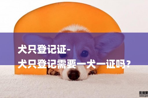 犬只登記證-
犬只登記需要一犬一證嗎？