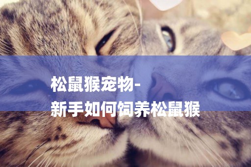 松鼠猴寵物-
新手如何飼養松鼠猴