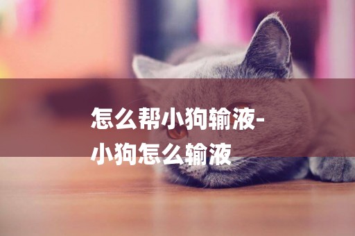 怎么幫小狗輸液-
小狗怎么輸液