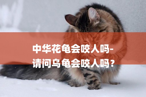 中華花龜會咬人嗎-
請問烏龜會咬人嗎？
