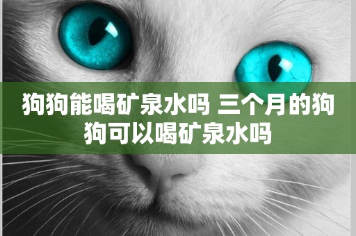 狗狗能喝礦泉水嗎 三個月的狗狗可以喝礦泉水嗎