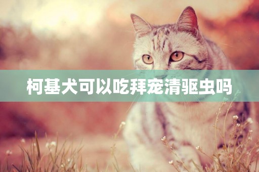 柯基犬可以吃拜寵清驅蟲嗎