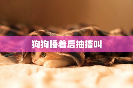 狗狗睡著后抽搐叫