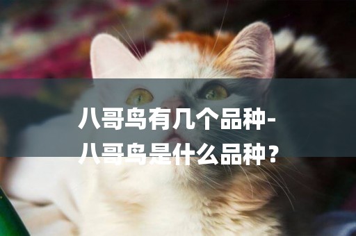 八哥鳥有幾個品種-
八哥鳥是什么品種？