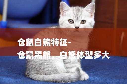 倉鼠白熊特征-
倉鼠黑熊，白熊體型多大