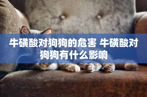 牛磺酸對狗狗的危害 牛磺酸對狗狗有什么影響