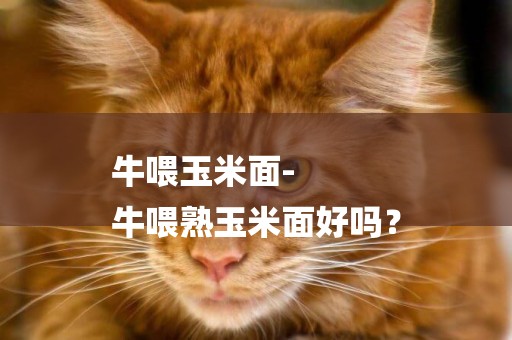 牛喂玉米面-
牛喂熟玉米面好嗎？