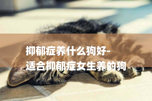 抑郁癥養什么狗好-
適合抑郁癥女生養的狗