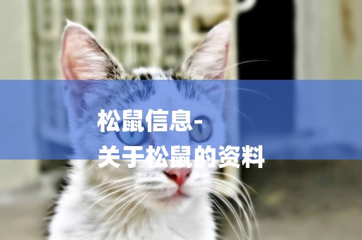松鼠信息-
關于松鼠的資料