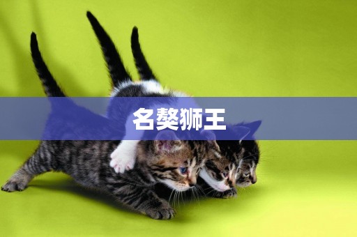 名獒獅王