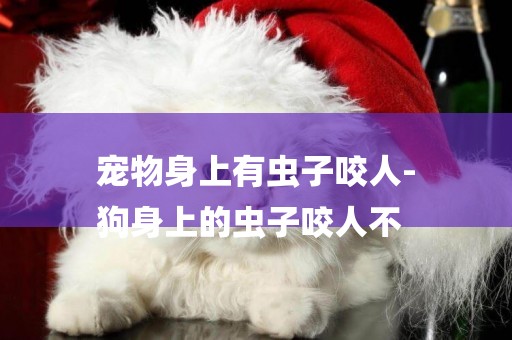 寵物身上有蟲子咬人-
狗身上的蟲子咬人不