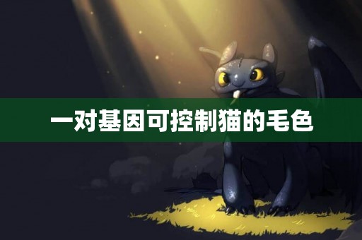 一對基因可控制貓的毛色