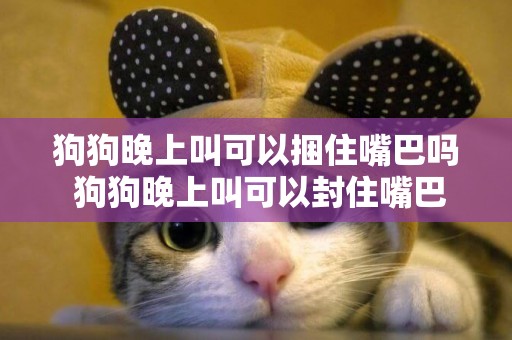 狗狗晚上叫可以捆住嘴巴嗎 狗狗晚上叫可以封住嘴巴嗎