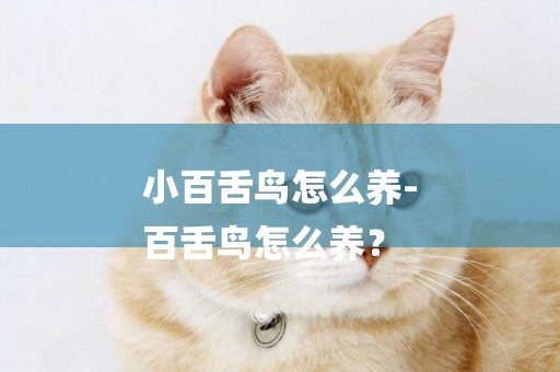 小百舌鳥怎么養-
百舌鳥怎么養？